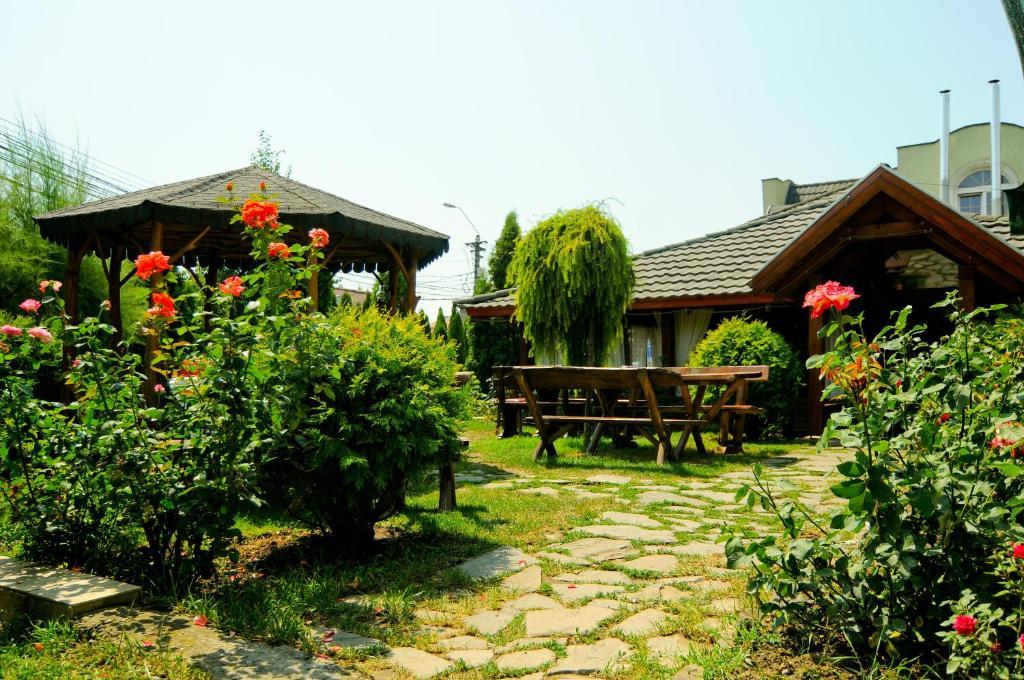 Pension La Cupola Targu Mures Exterior photo