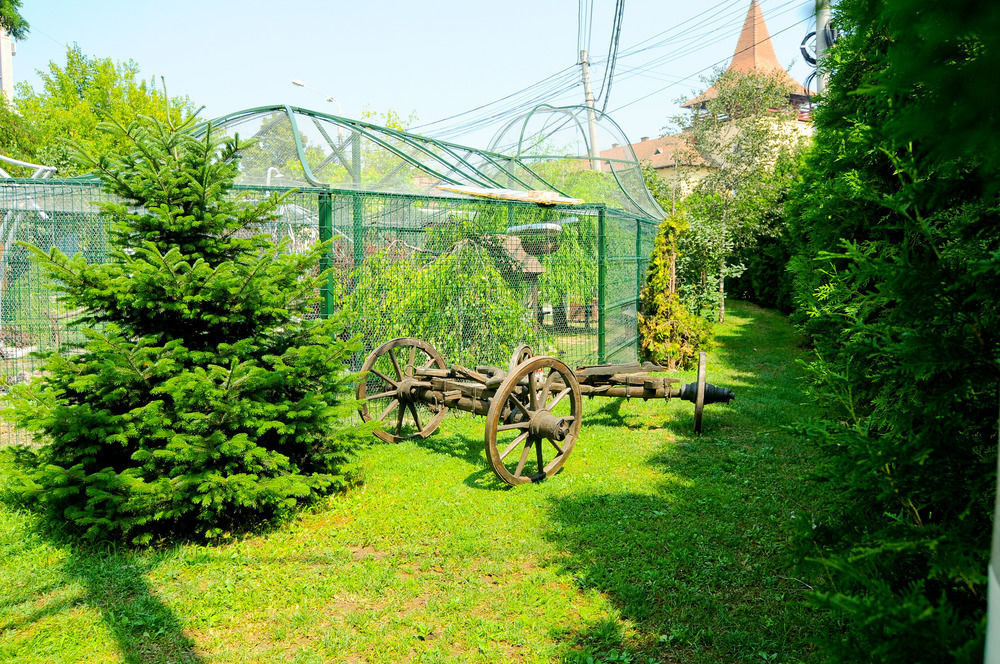 Pension La Cupola Targu Mures Exterior photo