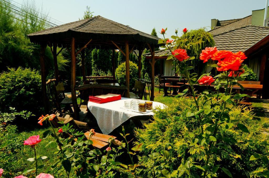 Pension La Cupola Targu Mures Exterior photo